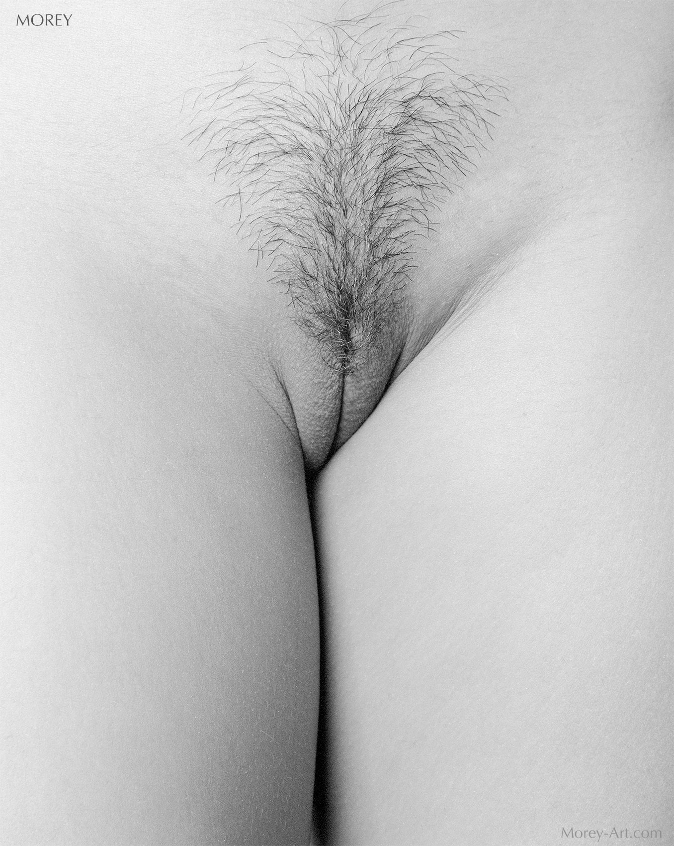 Trisha66486-17-1700px B&W photo, abstract nude close-up of model Trisha, © 1997 by Craig Morey