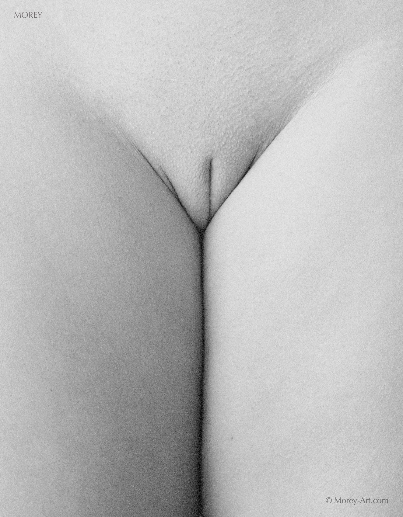 Athena36948-01-1700 Explicit b&w abstract nude photo of model Athena, © 1997 by Craig Morey