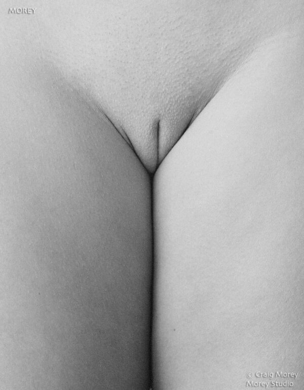 Erotic-Art-Nude-BW-95x11-signed-photo-by-Craig-Morey-Athena-3694801-150893314451