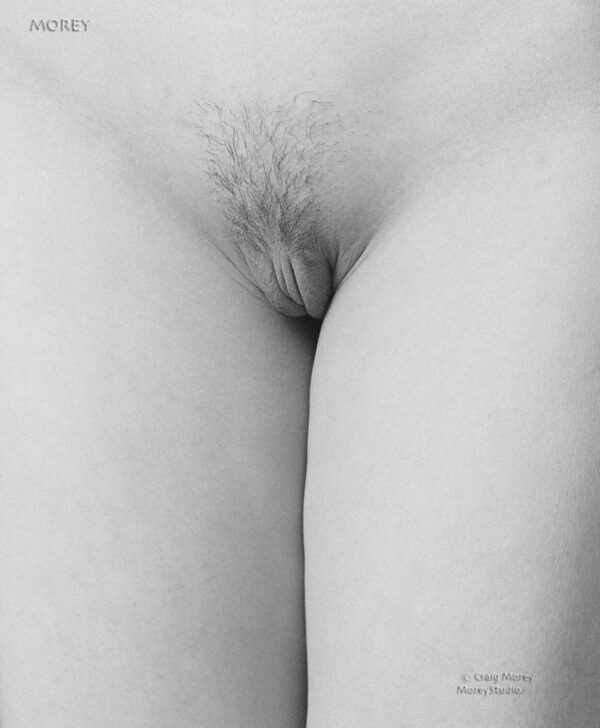 Erotic-Art-Nude-Model-85x11-BW-signed-photo-by-Craig-Morey-Anne-6534704-160926831041