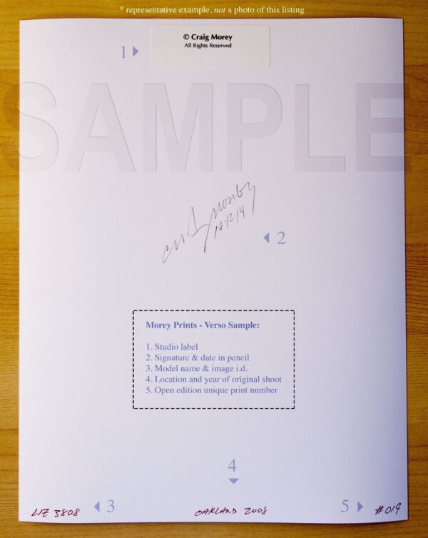 Fine-Art-Erotic-nude-85x11-signed-photo-by-Craig-Morey-Elizabeth-0011-151266077171-3