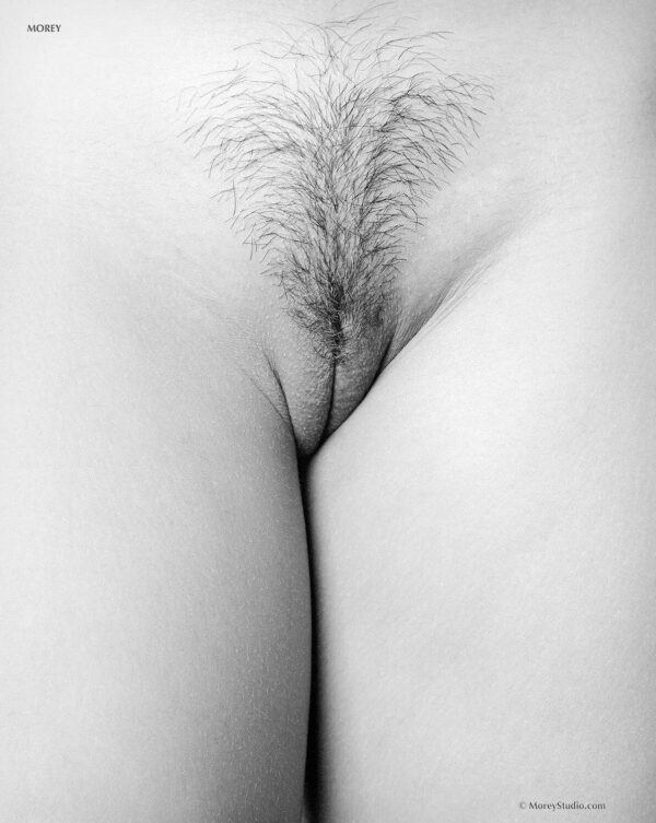 Erotic-Art-Nude-black-white-hand-signed-photo-by-Craig-Morey-Trisha-6648617-150894928334