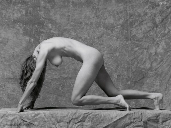 Fine-Art-Black-White-Nude-Natalie-3704310-signed-photo-by-Craig-Morey-152682548444 Natalie nude in athletic studio profile, b&w photo by Craig Morey