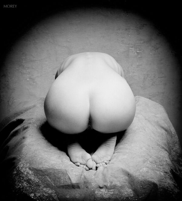 Natalie-3545913HC-Erotic-Art-Nude-BW-hand-signed-photo-by-Craig-Morey-163694625416