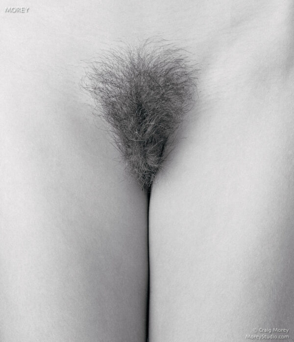 Nude-model-erotic-art-photo-signed-bw-print-by-Craig-Morey-Natalie-3702807-160877050816