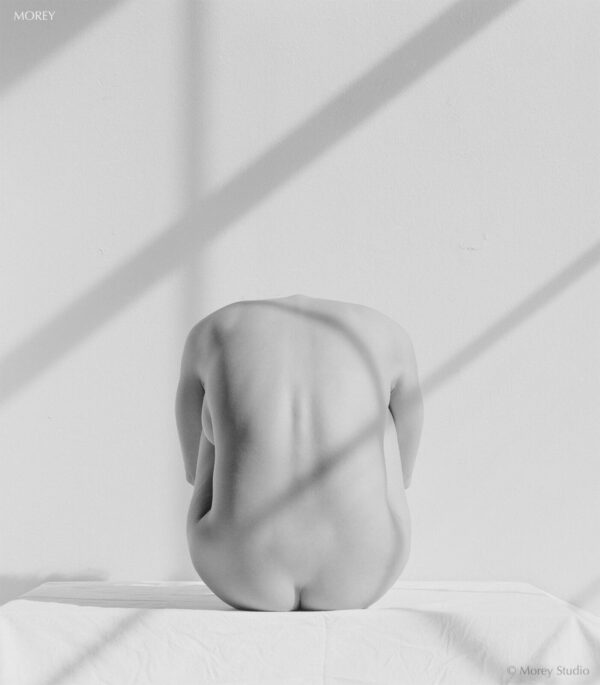 Reeva-8000905-Fine-Art-Nude-black-white-photo-hand-signed-by-Craig-Morey-160488168196 Nude woman in natural window light Reeva b&w photo by Craig Morey