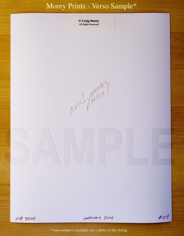 Bergen-9218-Erotic-Art-Nude-Black-White-Hand-Signed-Photo-by-Craig-Morey-163694539527-3