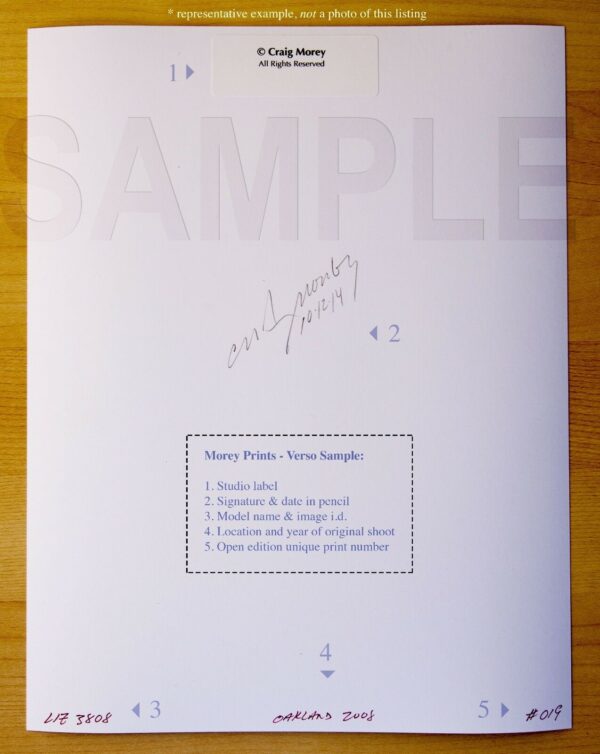 Black-White-Fine-Art-Nude-Trisha-7723852-hand-signed-photo-by-Craig-Morey-150364589737-3