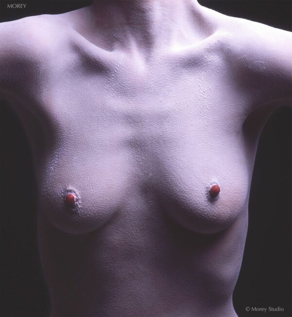 Fine-Art-Nude-Model-torso-signed-85x11-photo-by-Craig-Morey-RM-NudeWhiteRed-01-160380072998