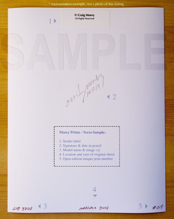 Helena-0014-0010BW-Erotic-Art-Nude-Model-signed-85x11-photo-by-Craig-Morey-153492277129-3